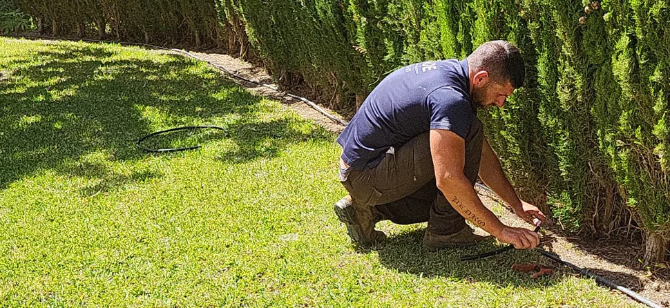 Pinchado y oxígenado de césped