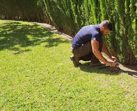 Tratamiento Fitosanitario